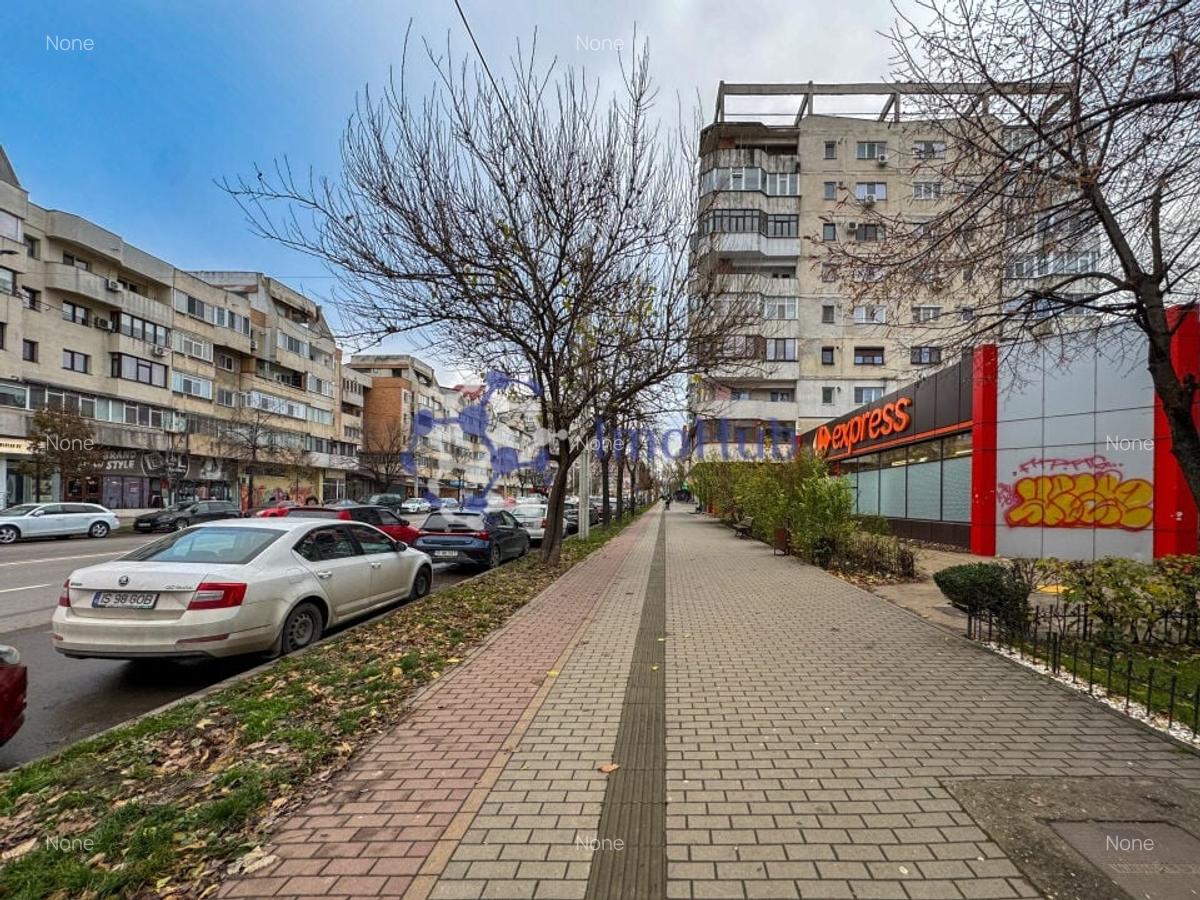 Apartament cu 3 camere Pacurari, Pet Friendly - 1