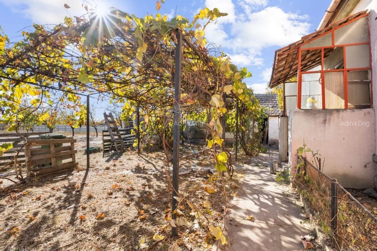 Casa de vanzare la 7 km de Arad, Loc. Sofronea - 4