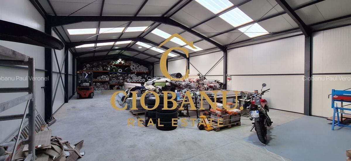 Hala de vanzare in Racari de Jos - 3