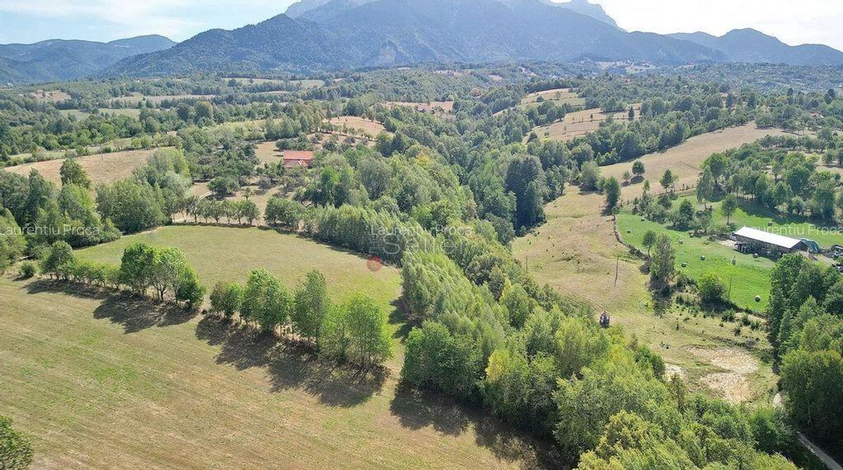 Teren intravilan, priveliste deosebita - 29