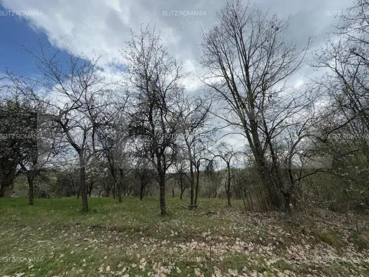 Vand casa cu 1 ha de livada in Carmazanesti - 3