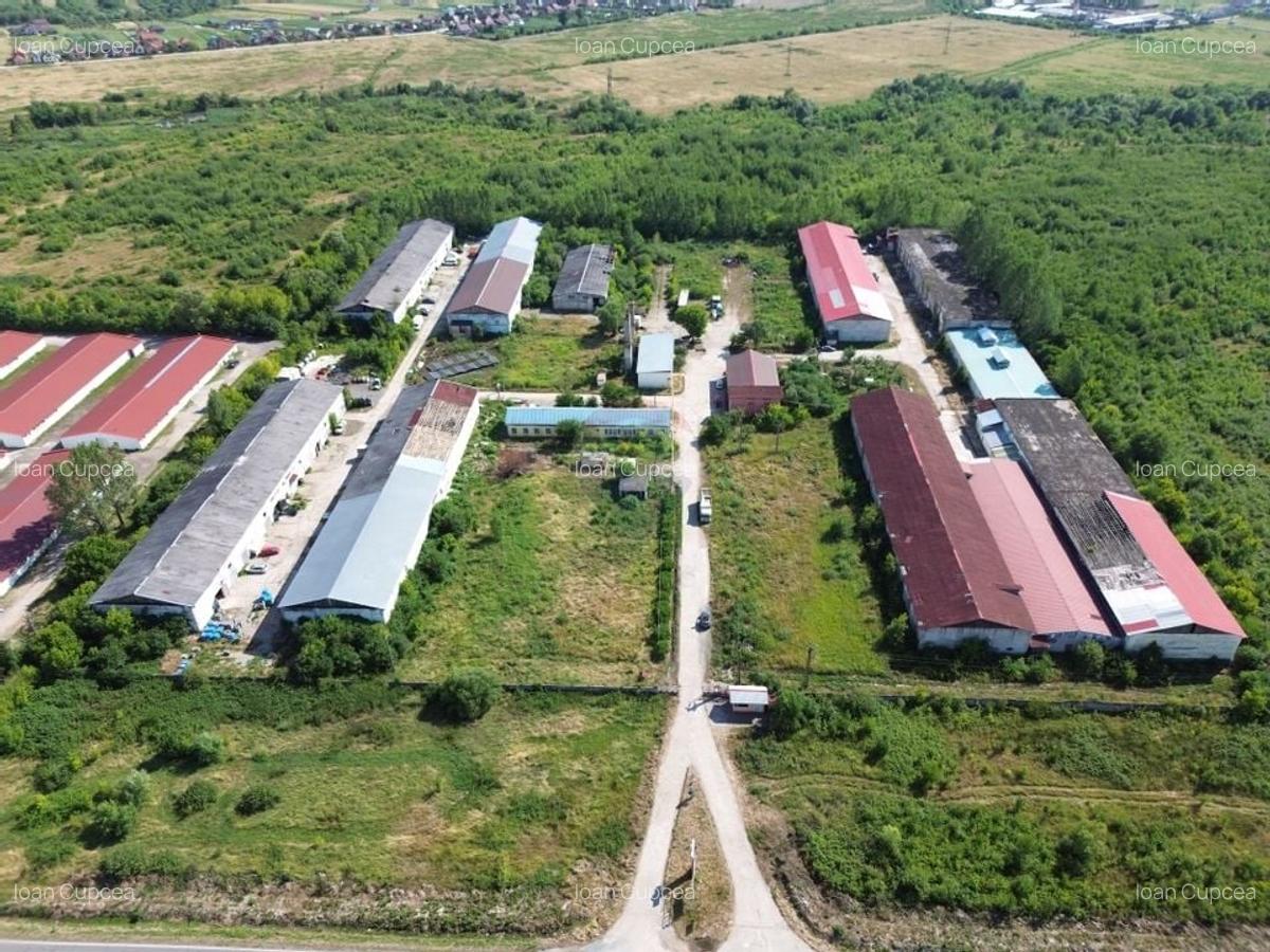 Spatiu industrial de 120mp de inchiriat in zona Exterior Sud - 4