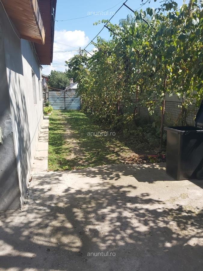 Crevedia Mare, Giurgiu - 8