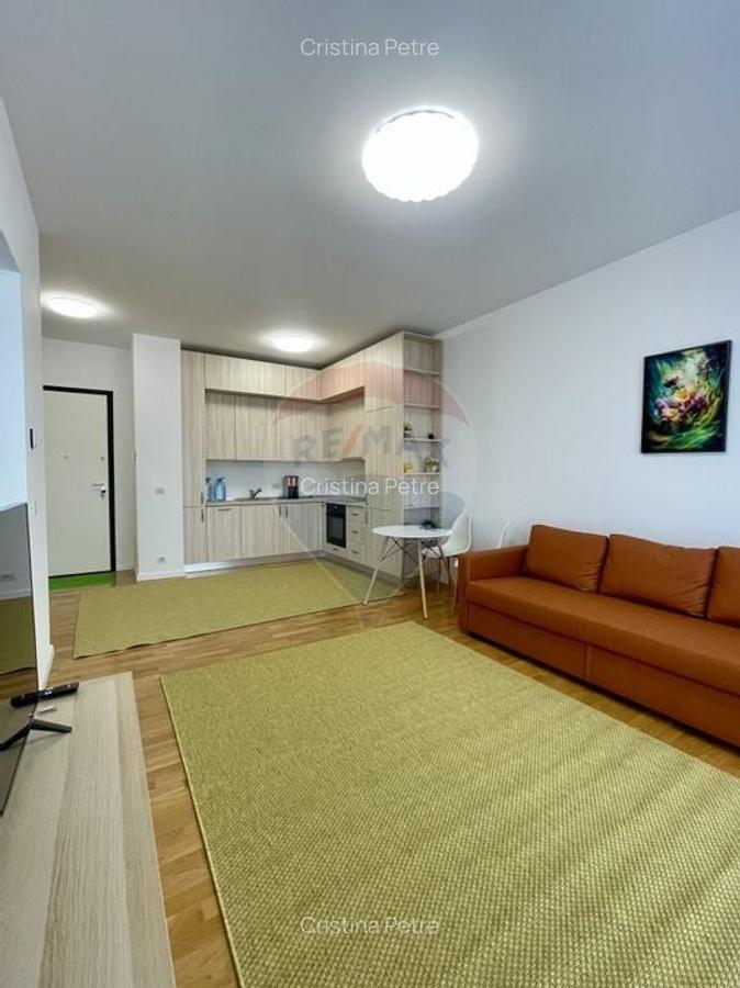 Apartament 2 camere de inchiriat in zona Domenii - 8