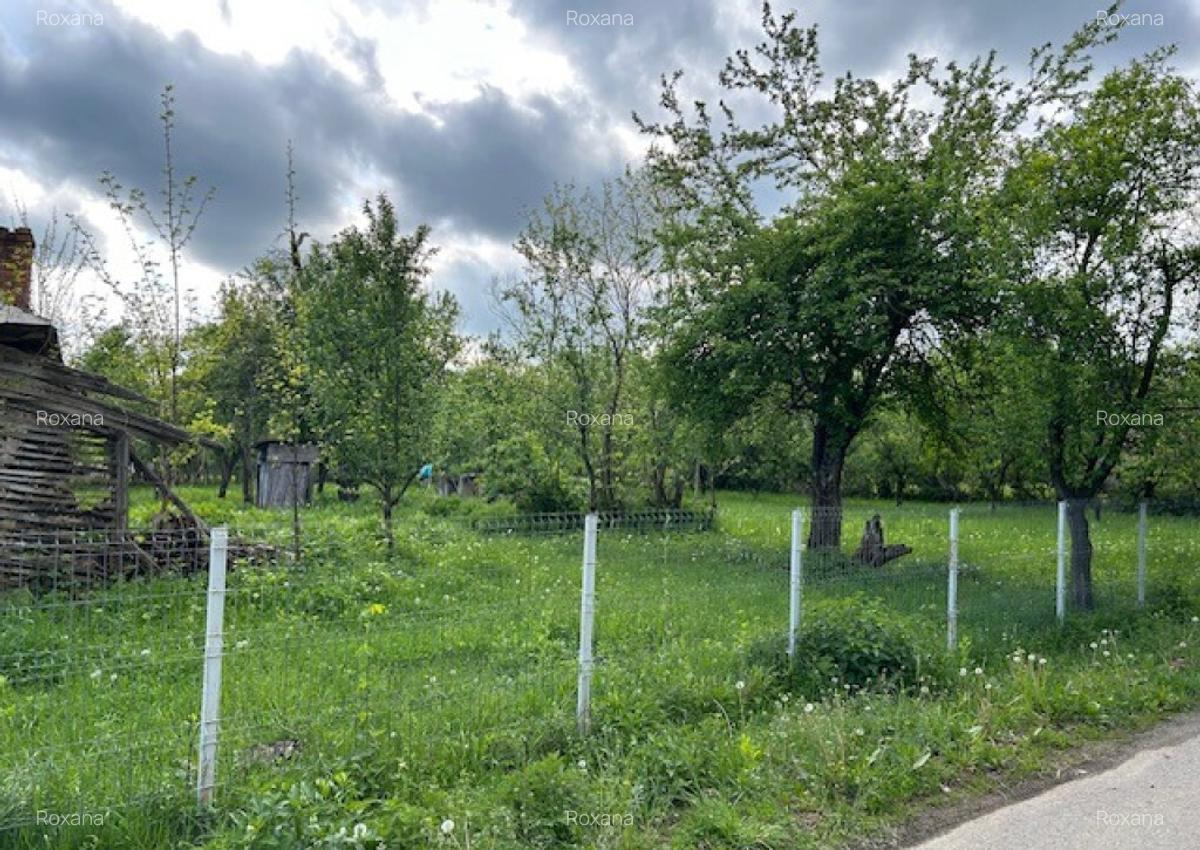 Teren 2202 mp, comuna Brebu, judetul Prahova - 7