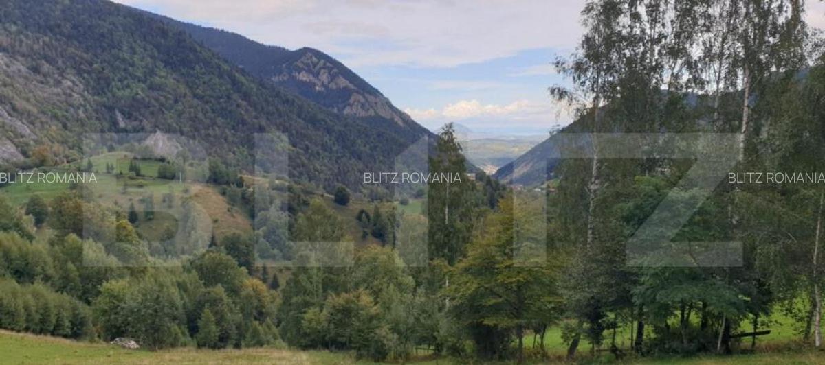 Teren 13.570 mp, Moieciu Pestera - 16