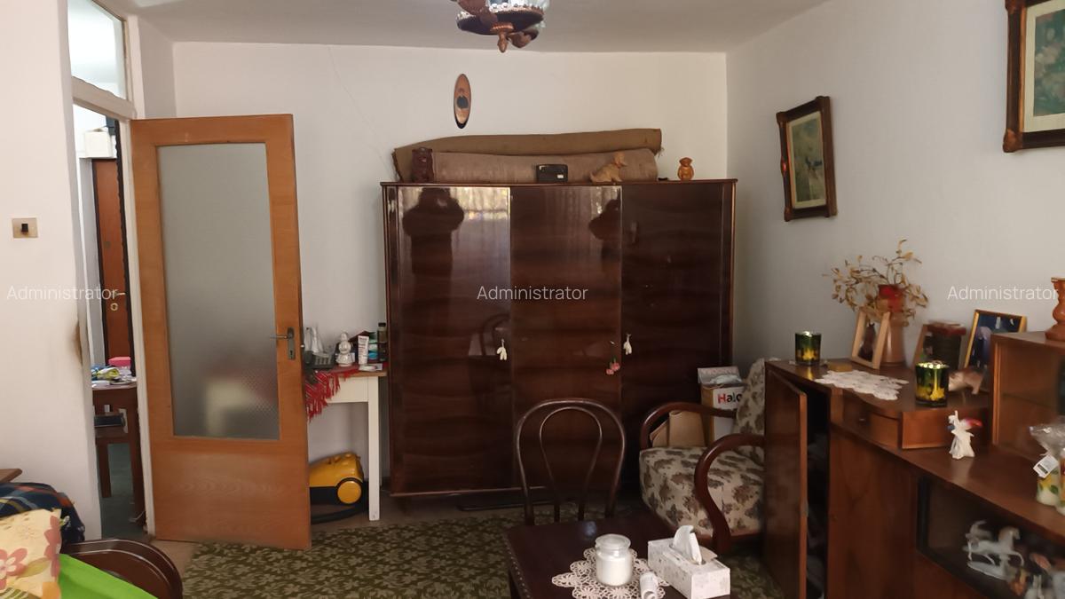 Vanzare garsoniera Anastasie Panu, libera, parter, nestradal - 1