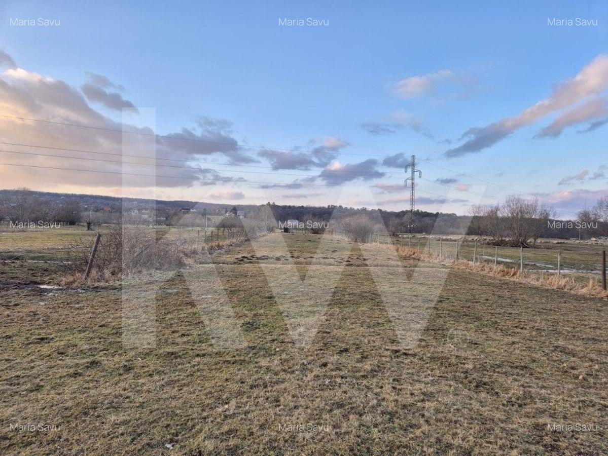 Teren de vanzare – 2.106 mp, agricol extravilan, Calinis, Rasinari - 6