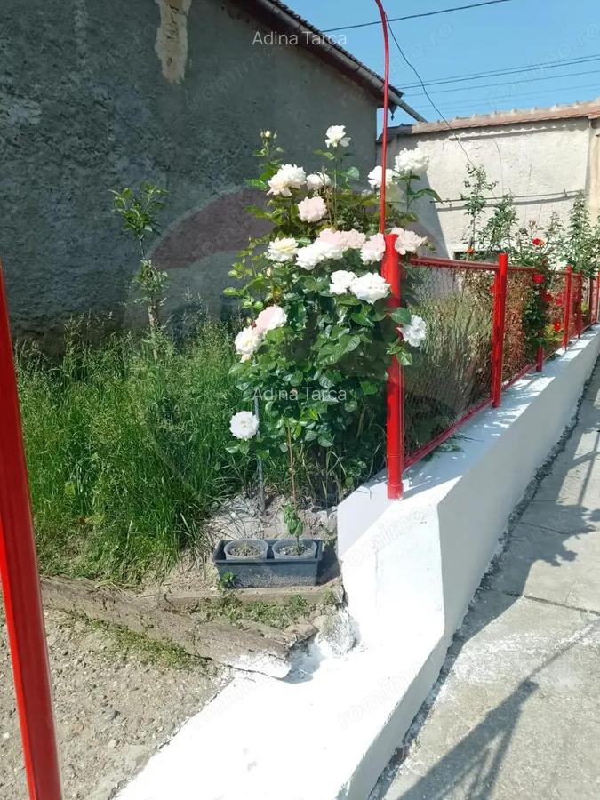 Casa langa Viscri de vanzare/schimb cu ap 2 cam Brasov - 4 Casa langa Viscri de vanzare/schimb cu ap 2 cam Brasov - 4
