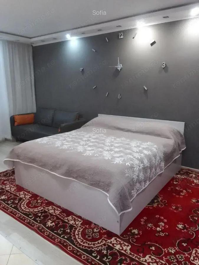 Apartament cu o camera in zona Sagului - 2