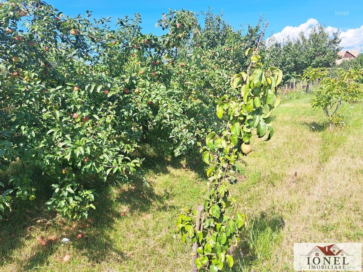 Vanzare casa in Berghin - 9