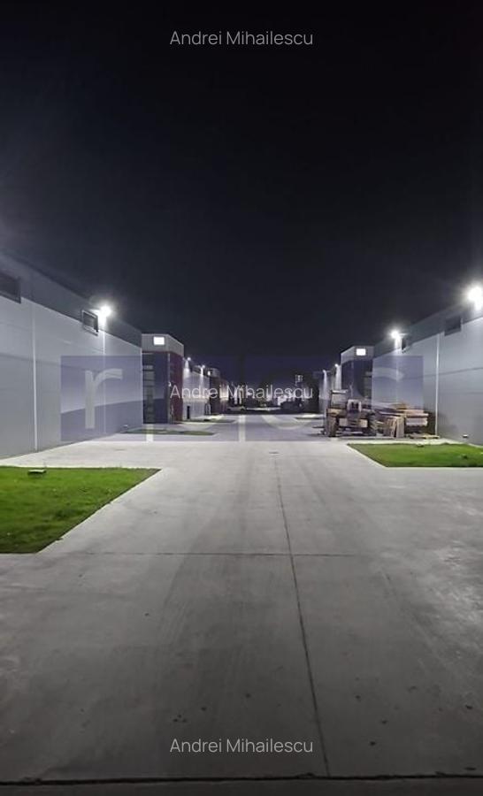 De vanzare hala in Mogosoaia cu iesire la Centura Bucuresti - 4