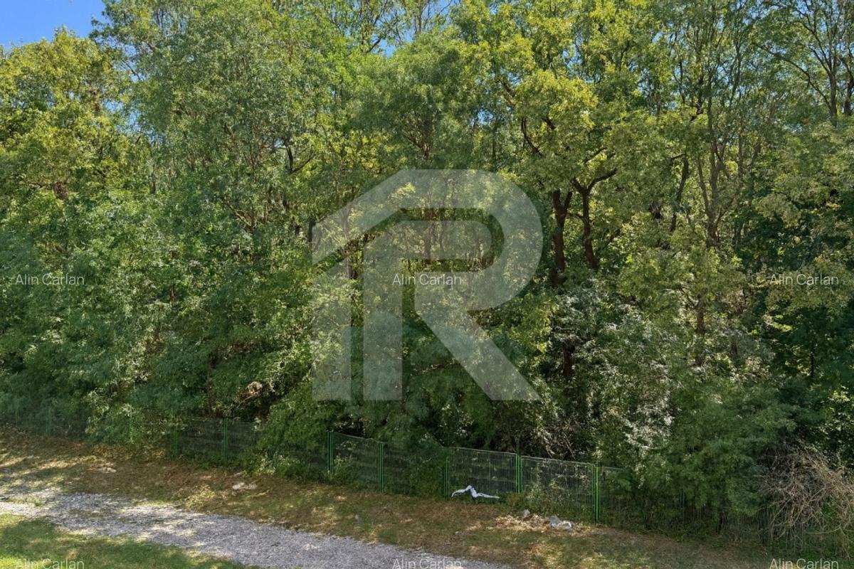 Apartament premium cu vedere integrala la Padurea Baneasa - Panoramic - 5