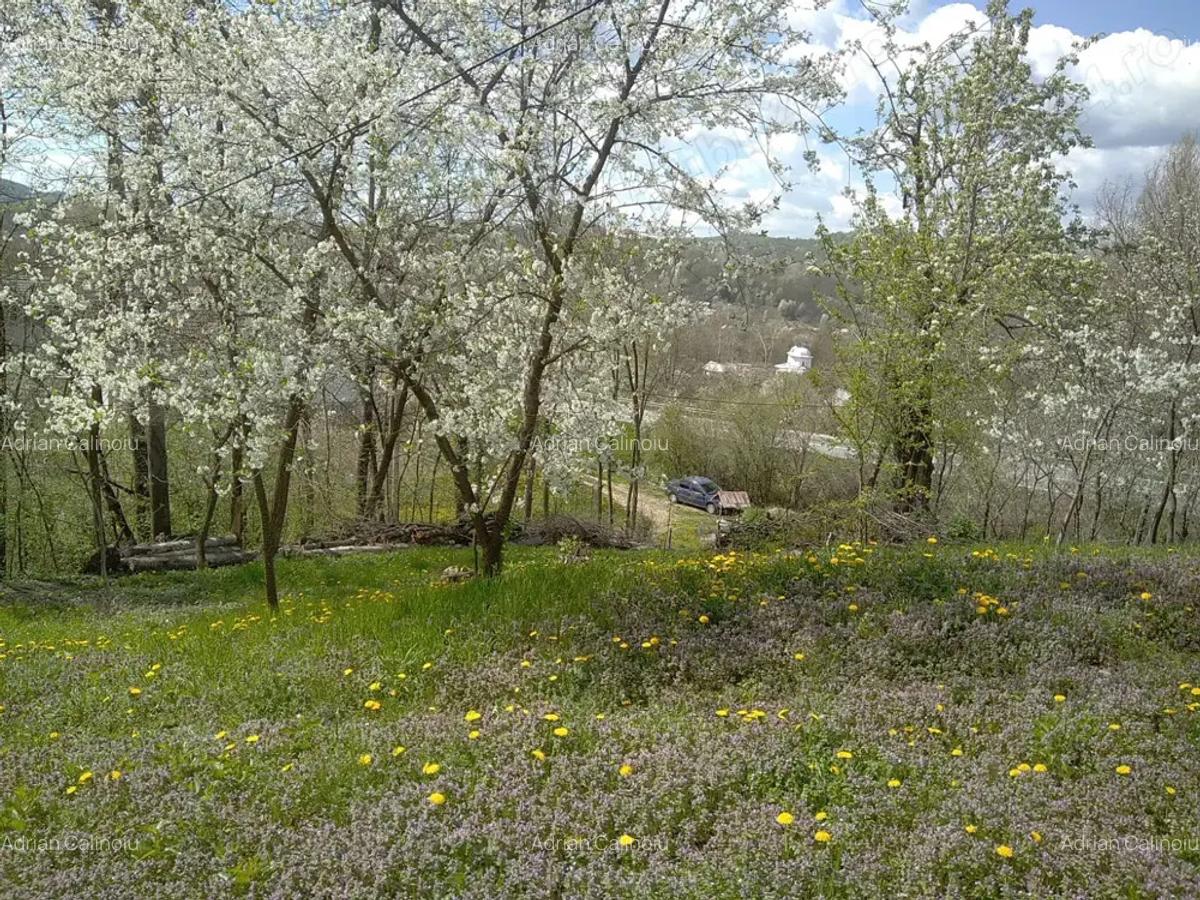 Casa de vanzare - teren 2357 mp in comuna Pietrari - 9