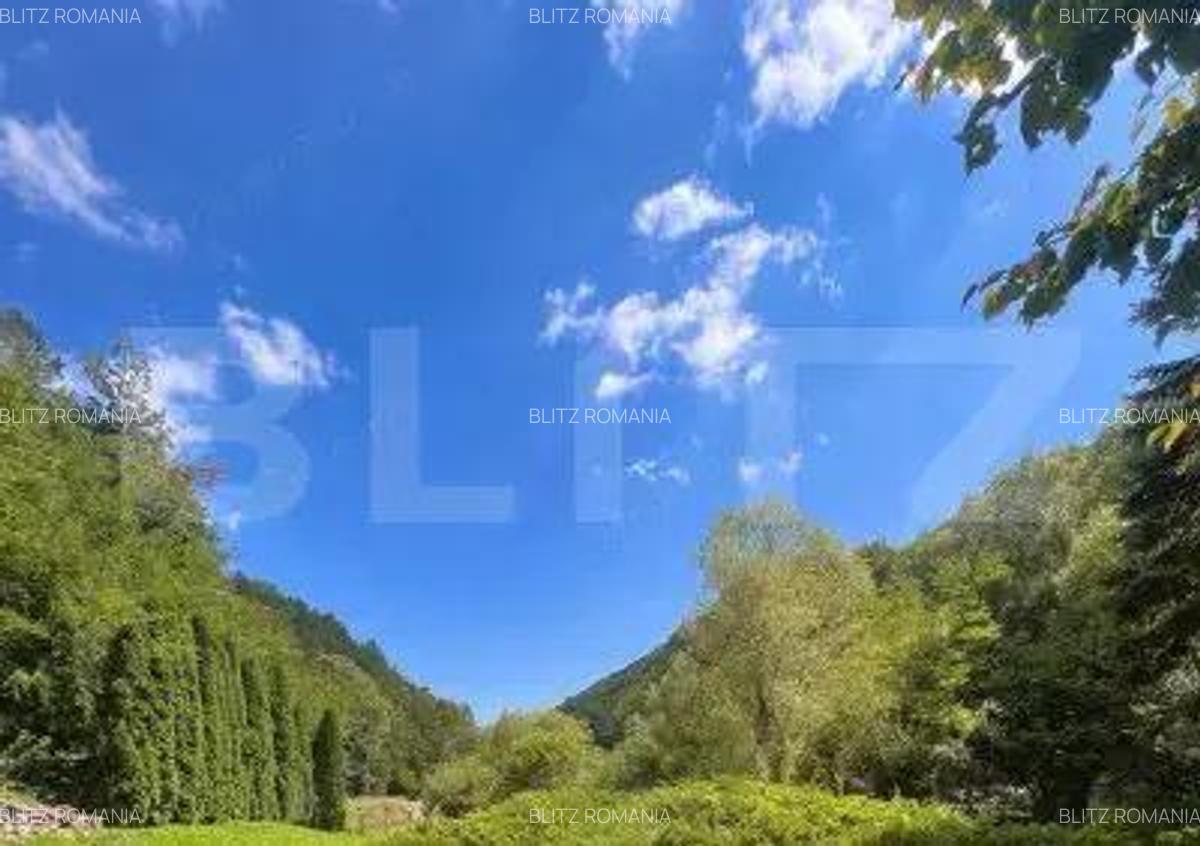 Casa de Vacan?a pe Valea Ighielului 3 camere, 2500 mp curte - 11