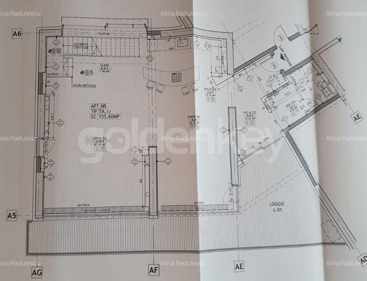 Apartament cu 4 camere decomandat în Herăstrău - 19