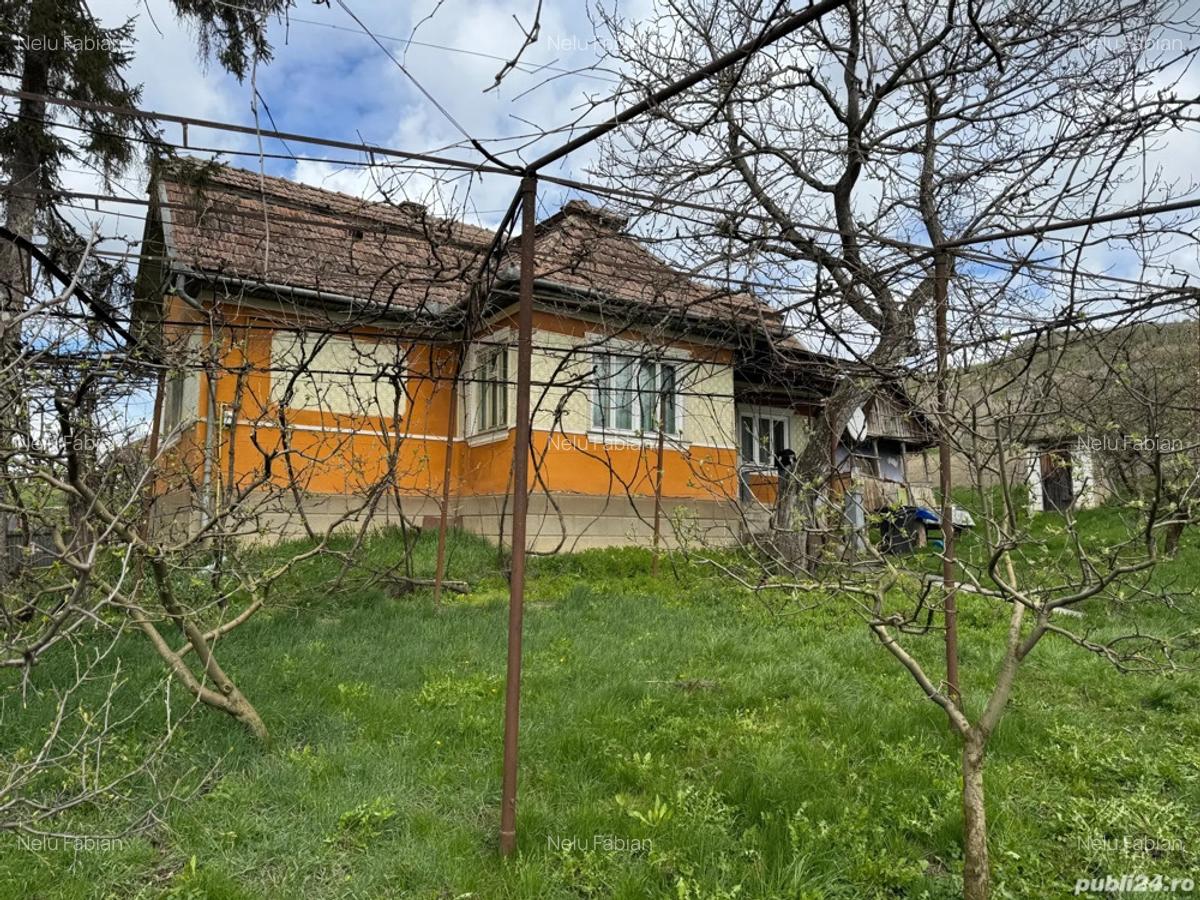 Casa cu teren de vanzare - 2