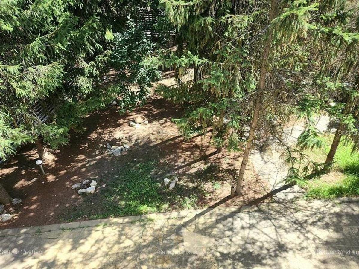 Baneasa Teisani vila 7 camere teren 1000 mp - 18