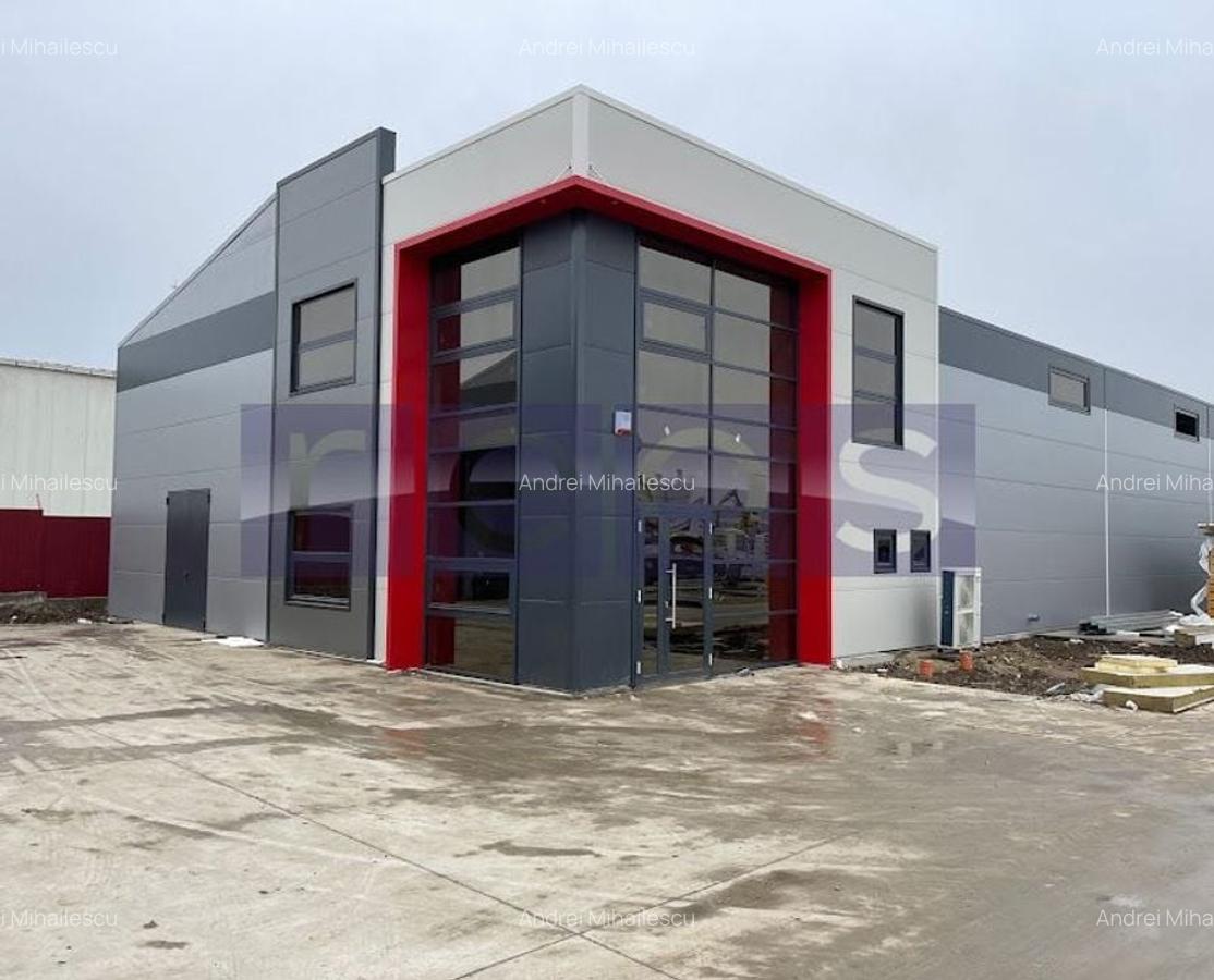 De vanzare hala in Mogosoaia cu iesire la Centura Bucuresti - 2
