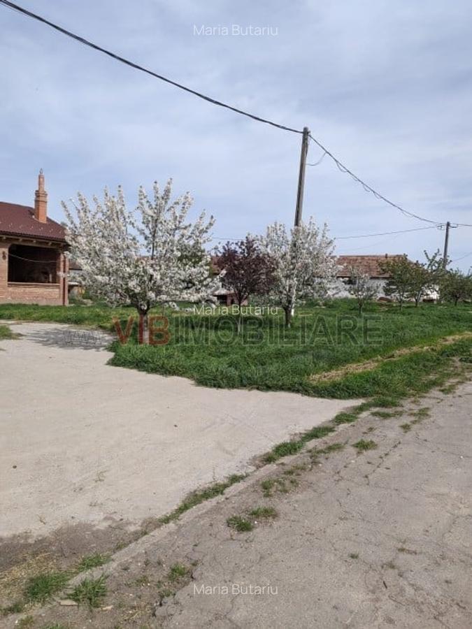 Ferma Zootehnică Mixtă – Cernateaz, Timiș | 9,5 ha | Hale Moderne, Casă 20 - 2