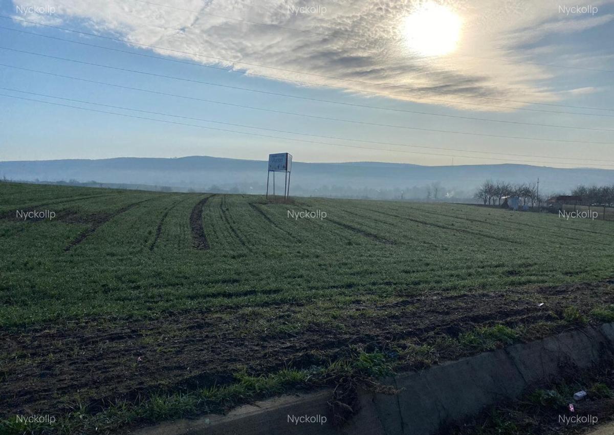 Teren 19201 mp- Valea Satului, com. Grajduri, jud. Iasi - 3