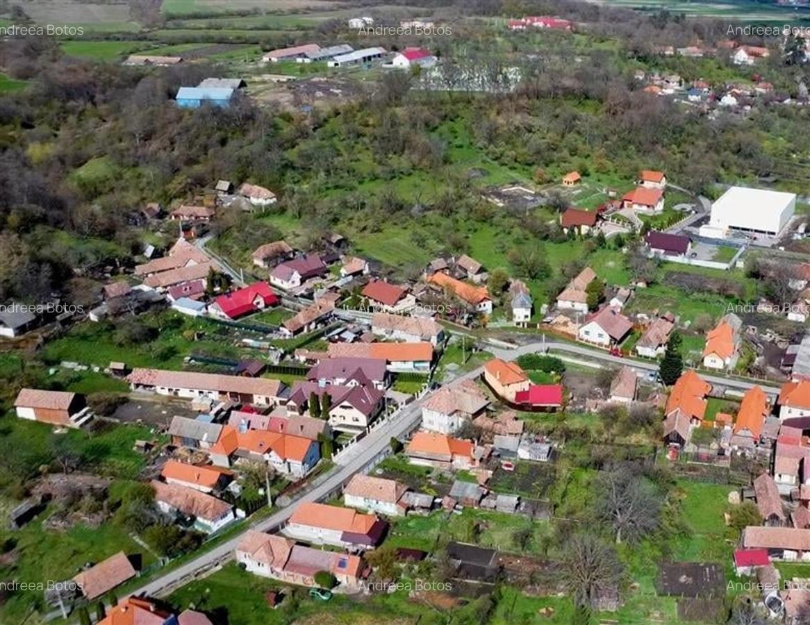 FILM!Vila cocheta, renovata, 400 mp teren,garaj,pivnita,Brancovenesti,Targu Mure - 12