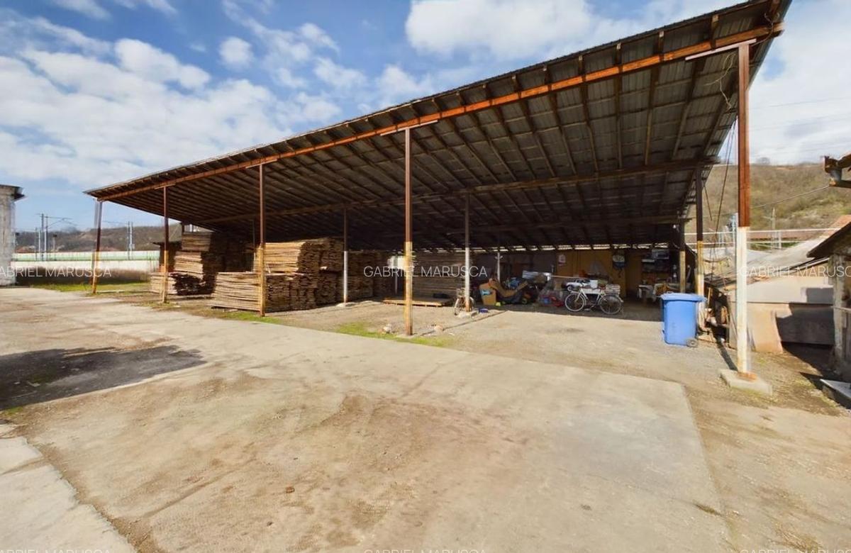 Fabrica prelucrare lemn de vanzare - Lipova, Arad - 3