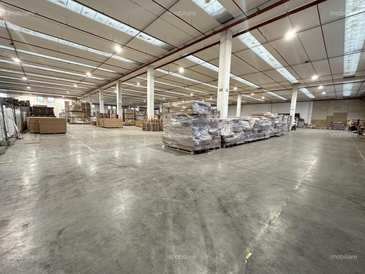 Gaminvest Hala de inchiriat, Parcul Industrial Bors , Bihor - 6