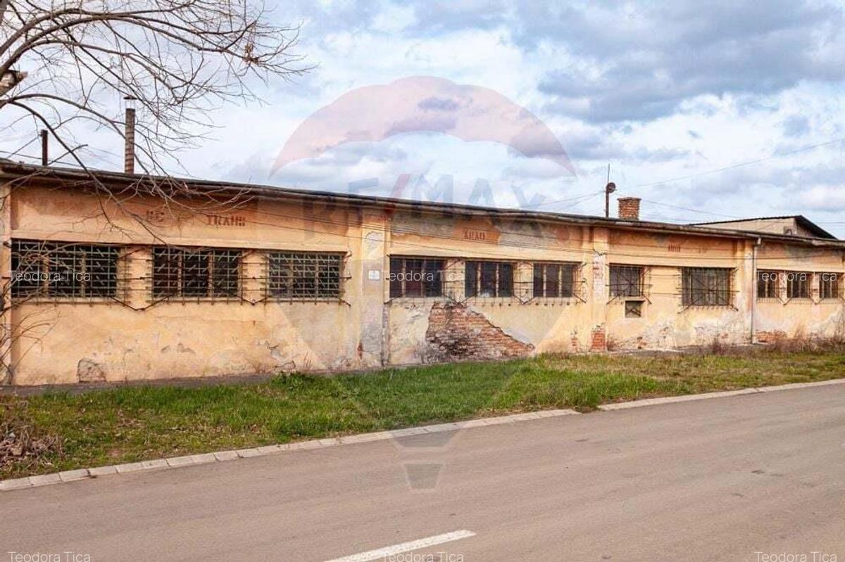 Teren industrial 2728 Mp Arad / Strada Eftimie Murgu - 7