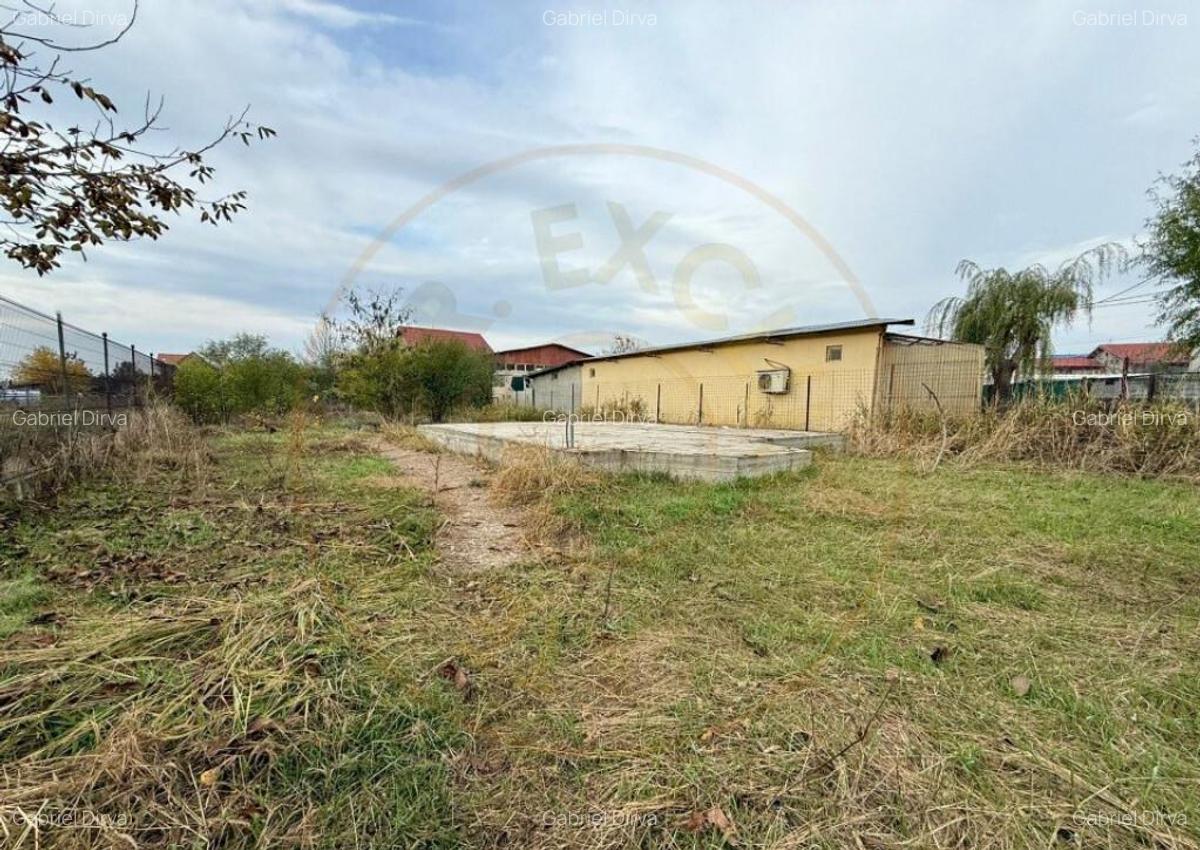 Teren pentru dezvoltare proiect imobiliar Domnesti-Centru - 1