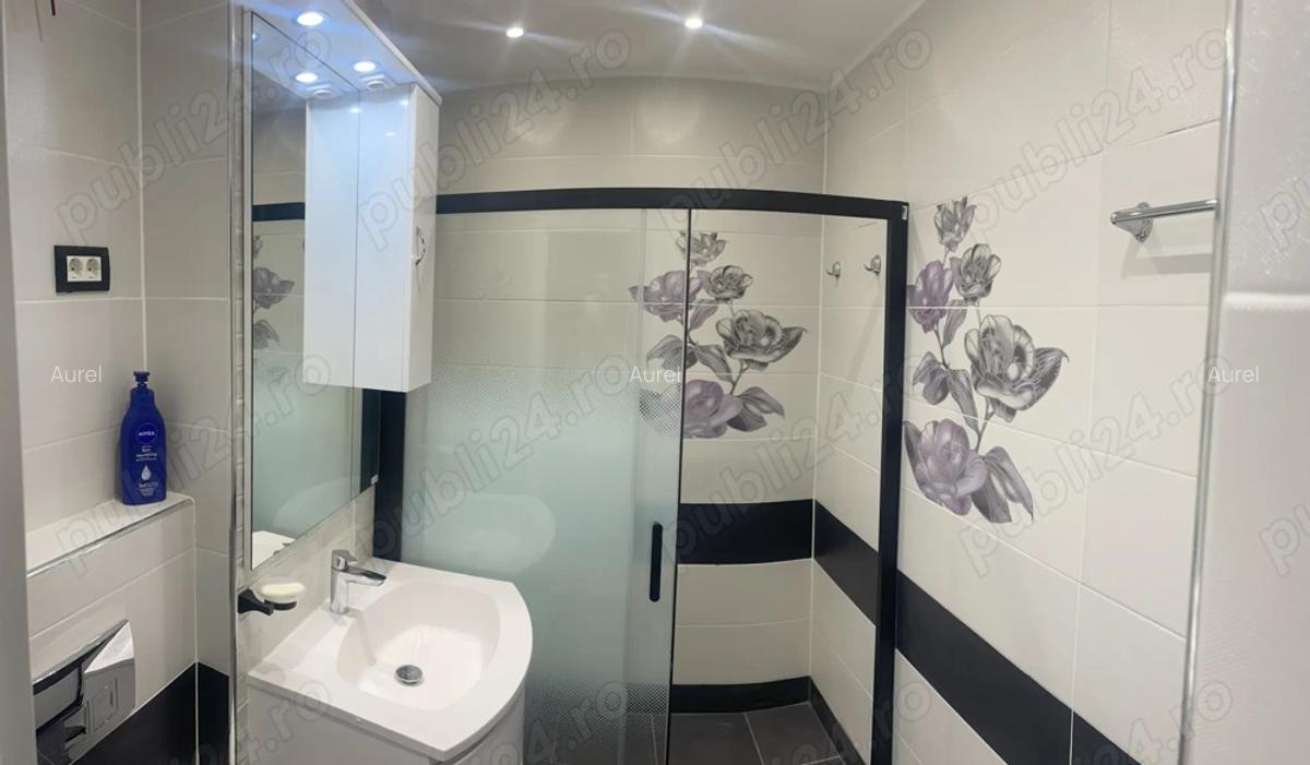 De inchiriat Birou Apartament de Lux, Central - Podgoria, Zona Bancilor - 9