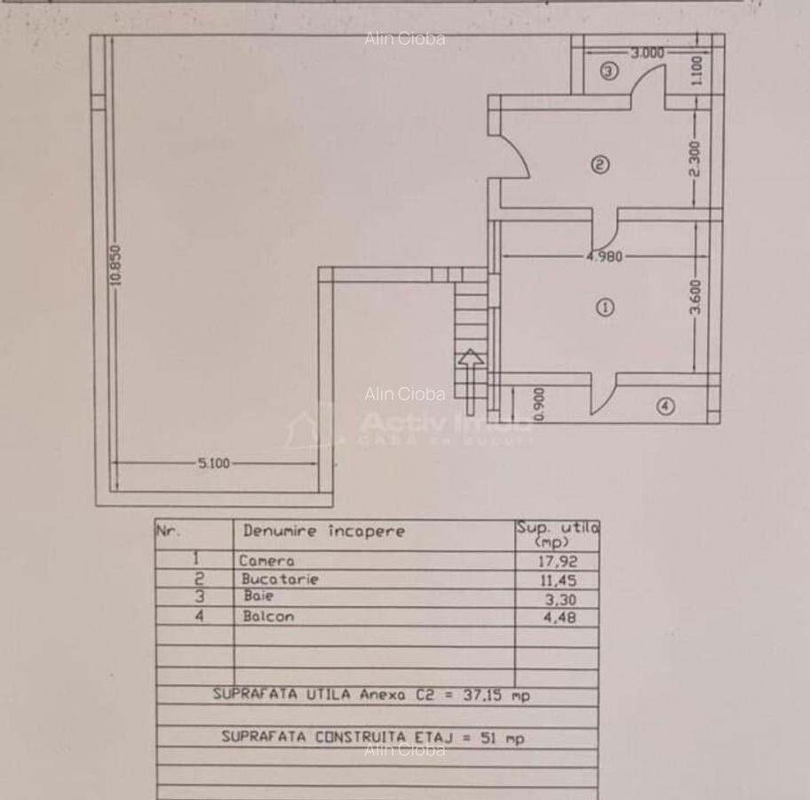 Casa cu trei apartamente plus spatiu comercial, cartier Buda - 8