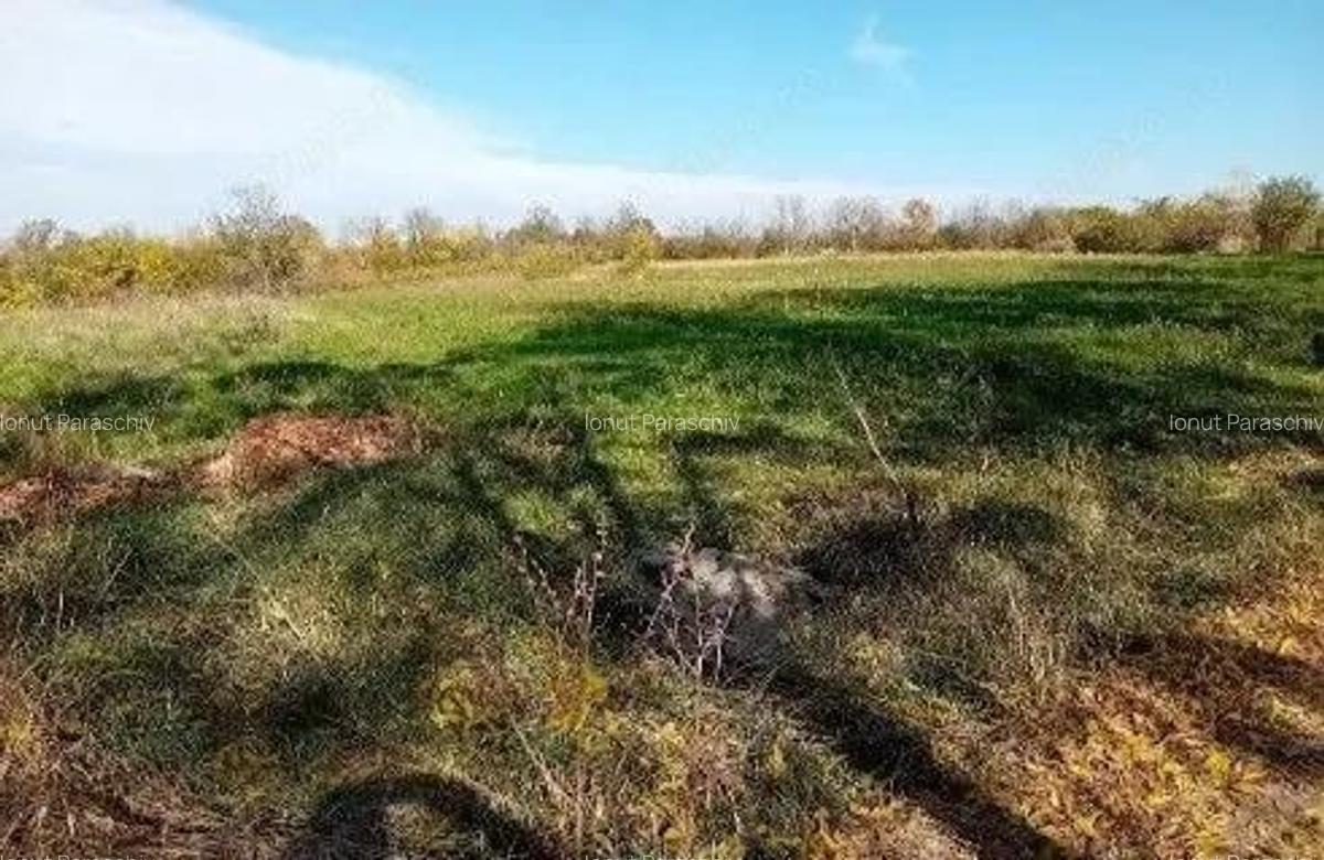 Teren Ungheni, ID: R2832820 - 11