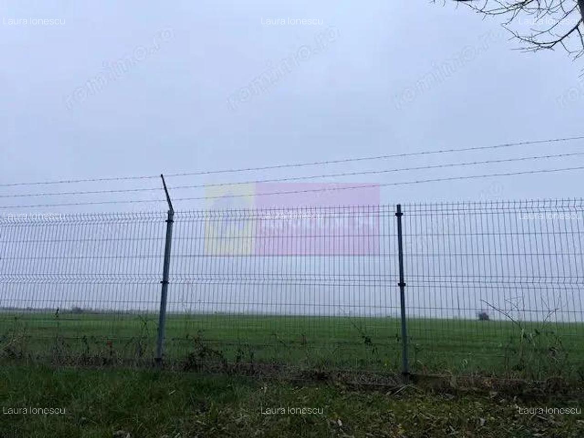 Teren Domnesti- Depozit Altex, Emag. - 5