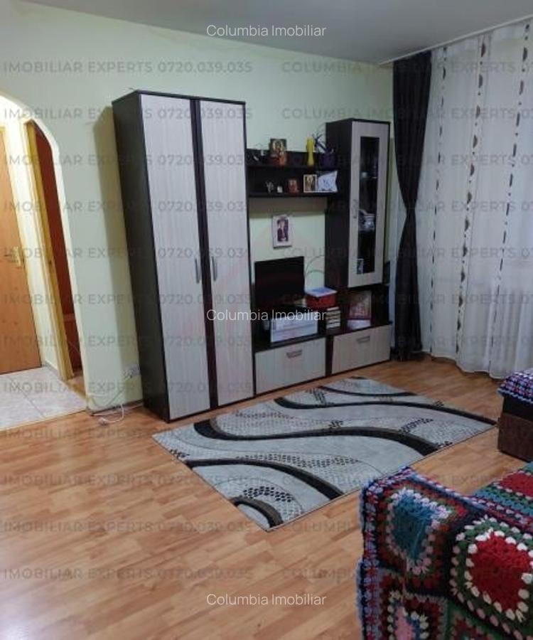 Berceni Luica Almasul Mare ideal credit bancar - 4