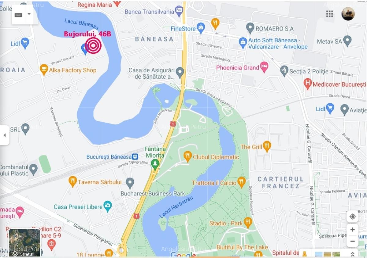 Vila lux Baneasa-Lac, langa Petrom City, zona exclusivista pe malul lacului - 15