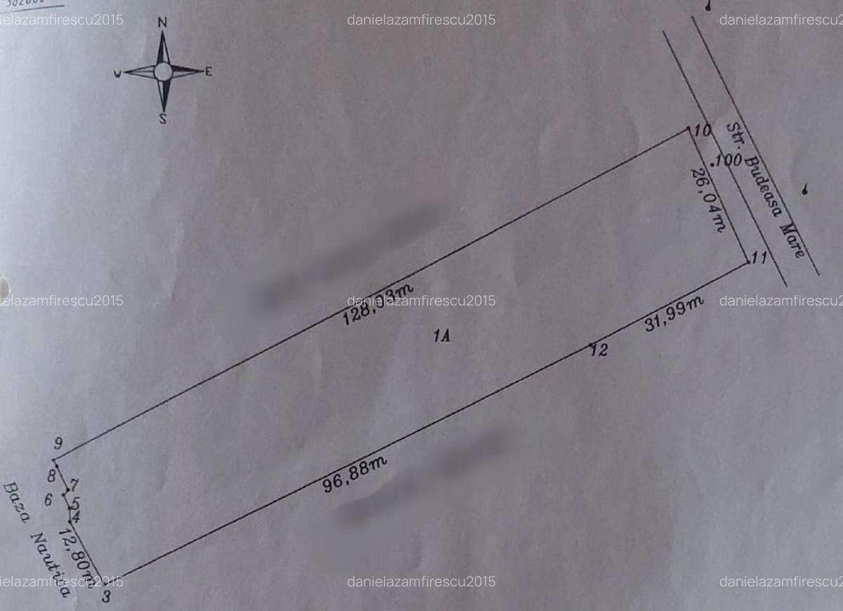 Teren Budeasa Mare, Arges - 3