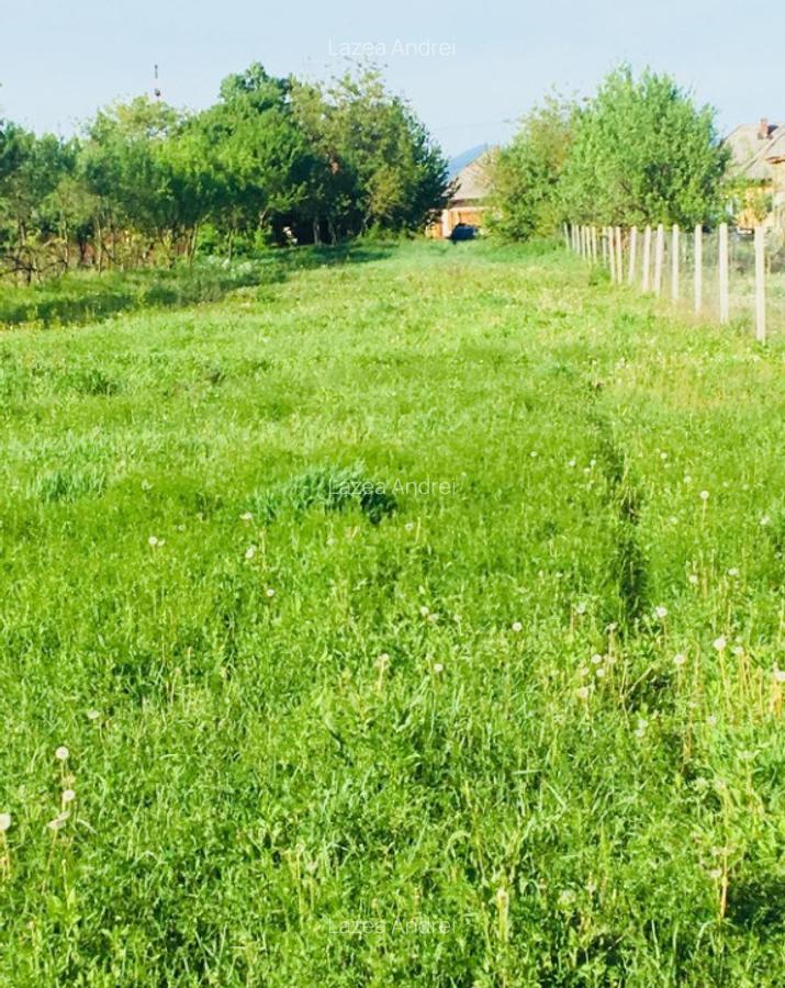 Investeste inteligent! Teren 23 ari Hideaga, Maramures! - 3