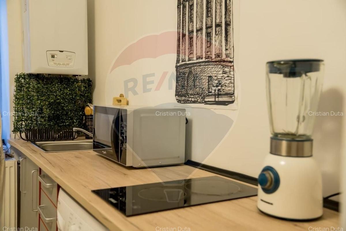 Apartament cu 2 camere de inchiriat in zona Ferdinand - 2