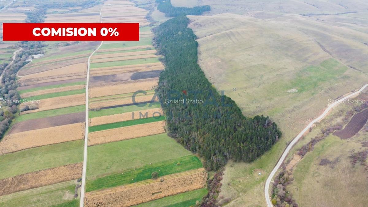 Terenuri de vanzare in Gilau - 1