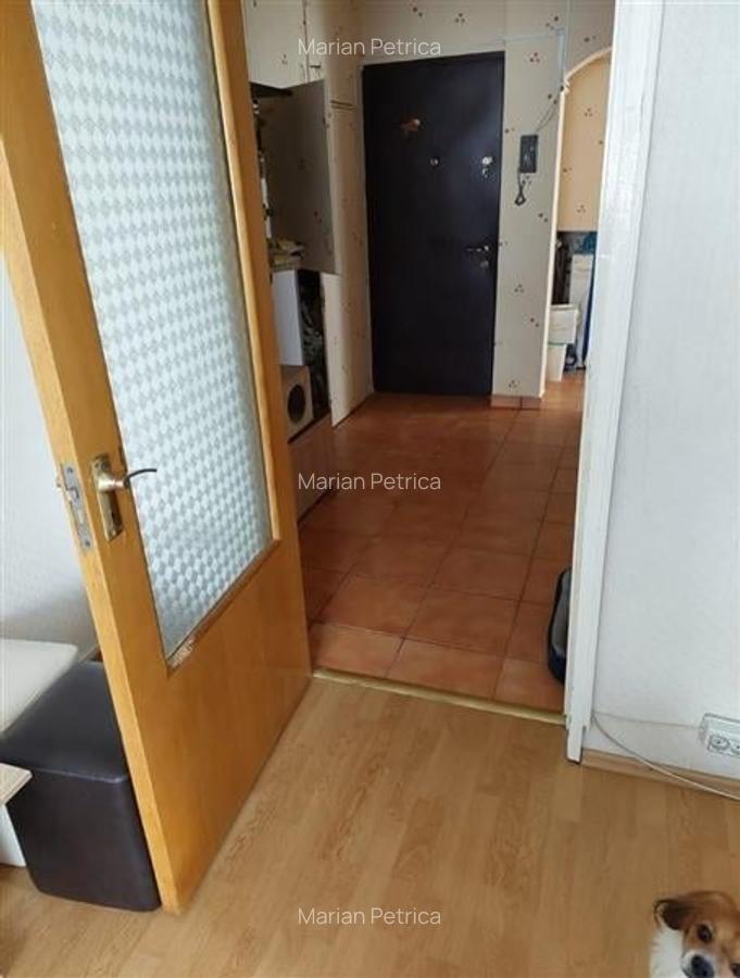 Apartament 3 camere Teiul Doamnei - 4