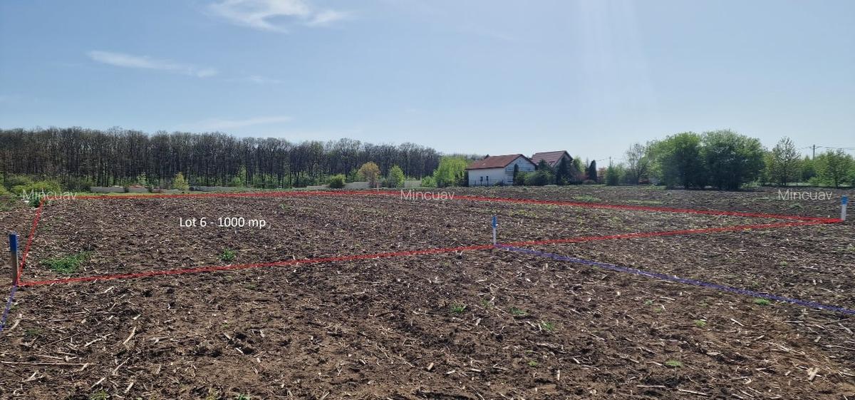 Snagov, Vladiceasca, Intravilan, zona de vile noi, canalizare, electricitate - 13