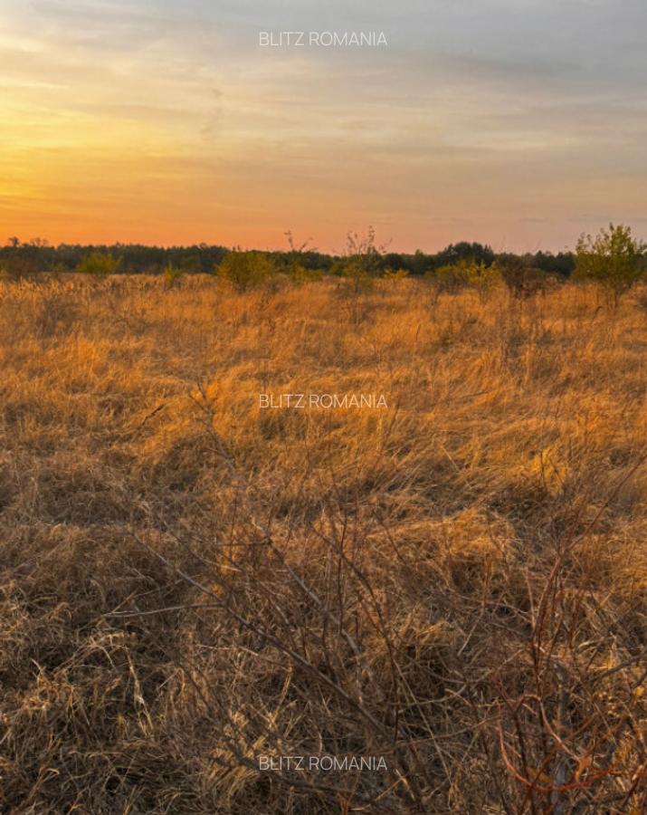 Teren extravilan 5000 , 2,5 euro mp BREASTA - 11