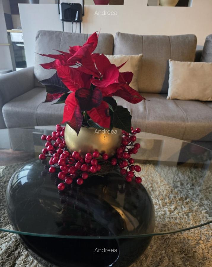 Inchiriez Apartament 2 camere, sector 1, langa Metrou, Baneasa - 3