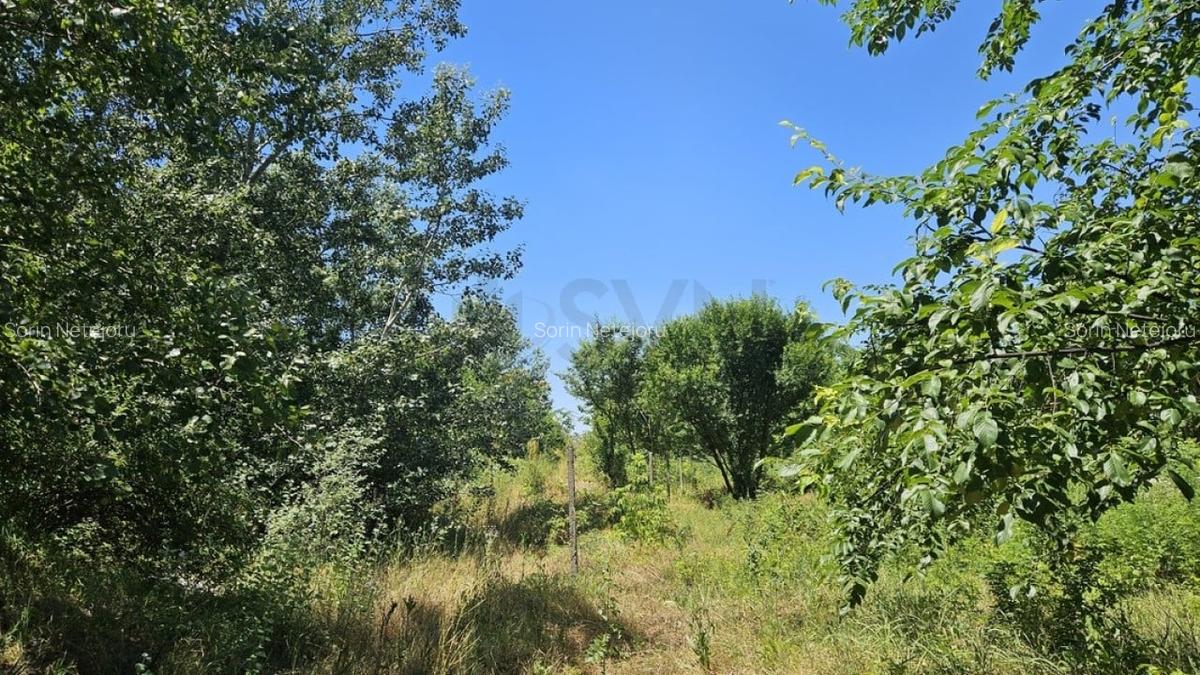 REL4001156 Teren de vanzare in Baneasa - 8