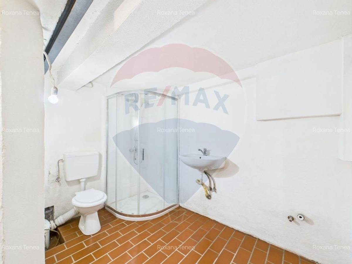 Spatiu comercial-Demisol-Atelier de arta - 5
