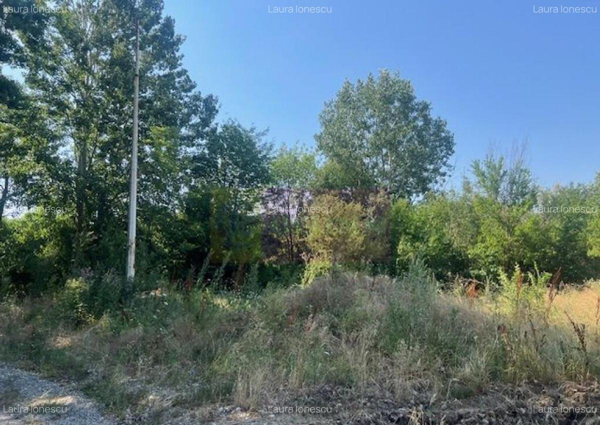 Teren Clinceni- Ordoreanu- langa Dig. - 2