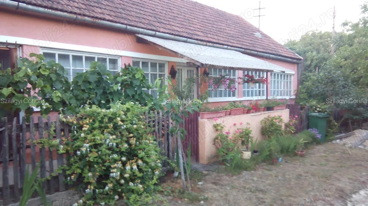 Casa la tara - 2
