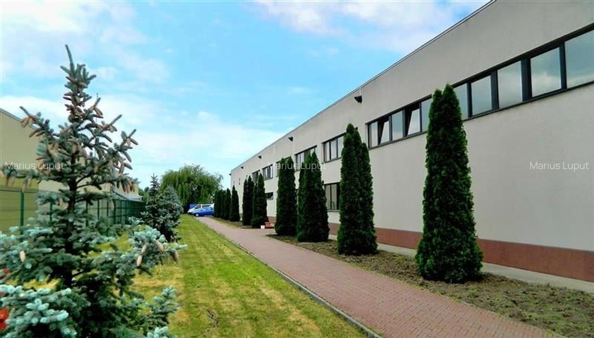 Hala industriala, 1600 mp cu teren 6500 mp , Timisoara Nord Vest - 2