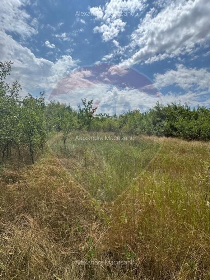 Teren 6,080mp Craiova / Aleea 5 Primaverii - 6